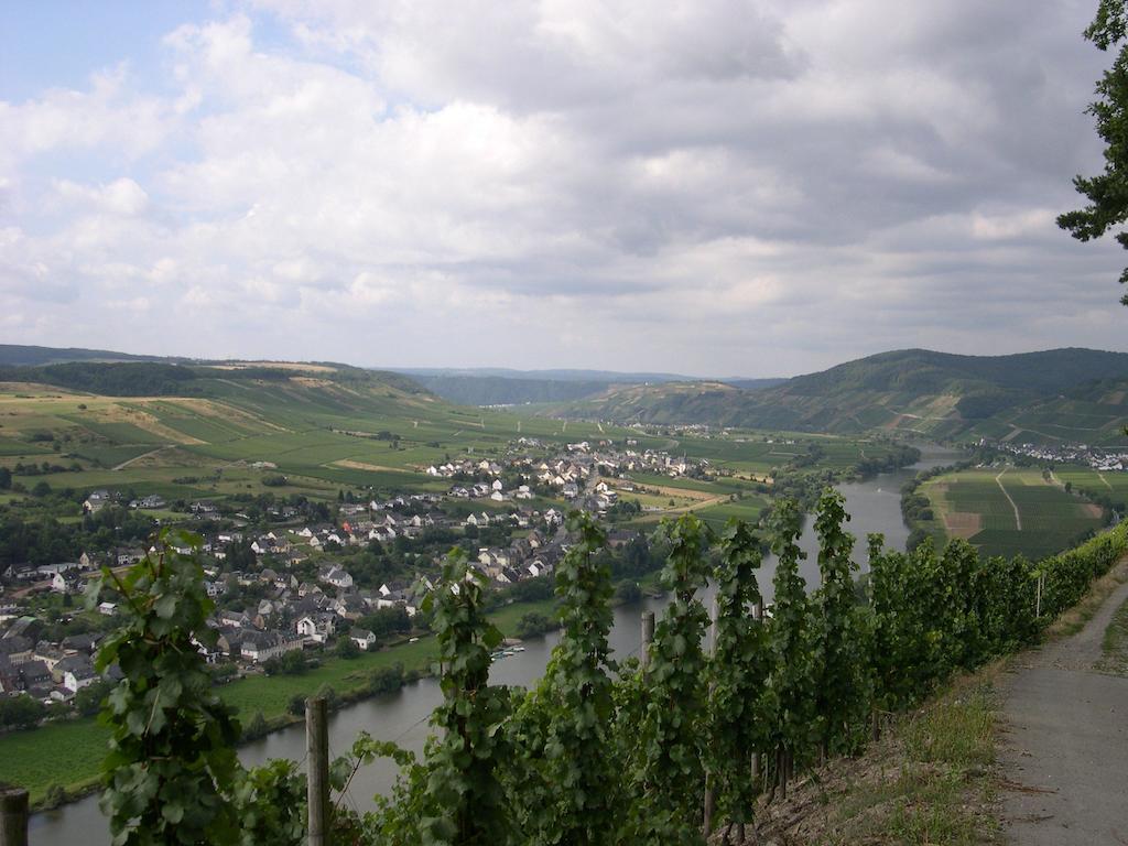 Juffer Flair Restaurant Gaestehaus Brauneberg Zewnętrze zdjęcie