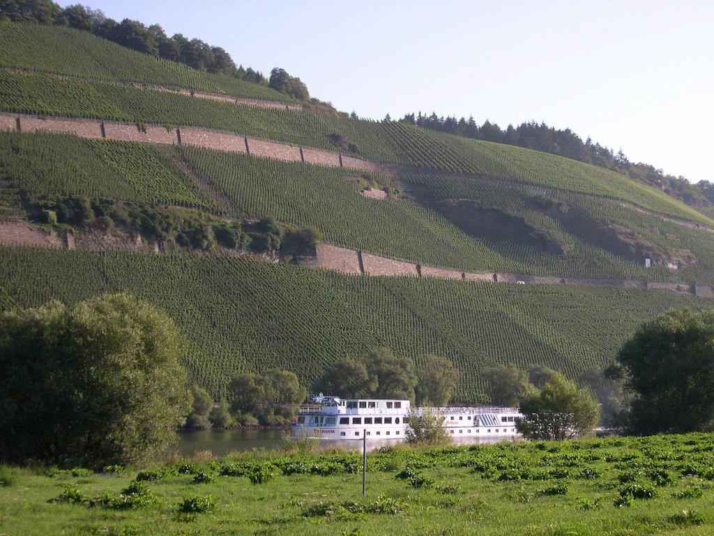 Juffer Flair Restaurant Gaestehaus Brauneberg Zewnętrze zdjęcie